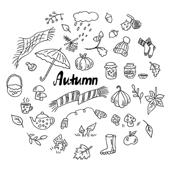 Doodle Autumn Set Hand Drawn Elements Cold Weather Berries Leaves — Stock Vector