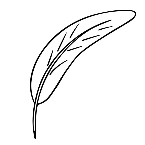 Fågelfjäderpenna Bläckpenna Handritad Kontur Doodle Skiss Frihand Minimalistisk Stil Linjekonst — Stock vektor