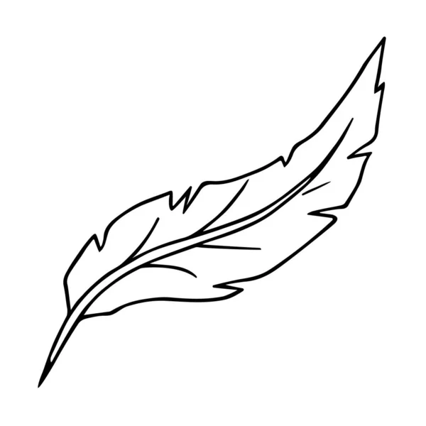 Pluma Pluma Pájaro Pluma Tinta Escritura Contorno Dibujado Mano Boceto — Vector de stock