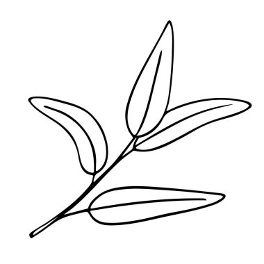 Zeytin dalı, elle çizilmiş karalama. Yapraklı dal ve meyve kaplamalı. Basit minimalist tasarım. Yemek menüsü ya da kozmetik konsept dekorasyonu. İzole edilmiş. Vektör.