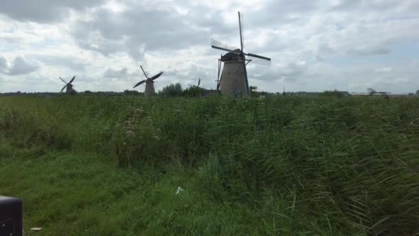 Hollanda Açık Bir Arazide Yel Değirmenleri Yazın Bulutlu Rüzgarlı Bir — Stok video