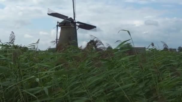 Väderkvarnar Ett Öppet Fält Nederländerna Mulen Och Blåsig Dag Sommaren — Stockvideo