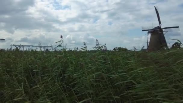 Hollanda Yel Değirmenleri Yazın Bulutlu Bir Günde — Stok video