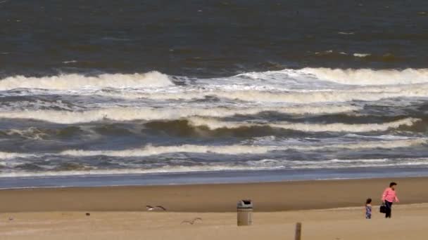 Ampla Vista Passeio Marítimo Den Haag Dia Ensolarado Ventoso Verão — Vídeo de Stock