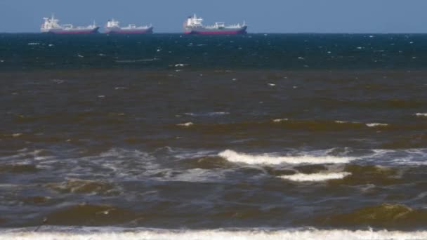 Wide View Container Ship Far Away Beach Netherlands Sunny Day — Stock Video