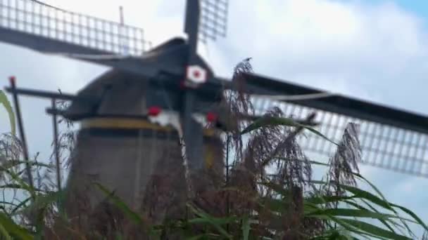 Windmühlen Auf Einem Offenen Feld Den Niederlanden Einem Bewölkten Und — Stockvideo