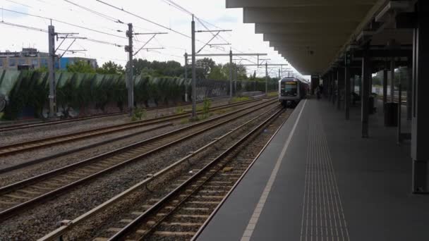 Vue Autour Une Gare Amsterdam Jour Été — Video