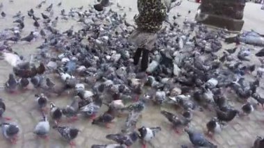 Amsterdam 'da bir kasaba meydanında çocuklar güvercinleri besliyor.