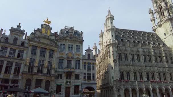 벨기에 브뤼셀 중심가 주변을 여름의 하루로 — 비디오