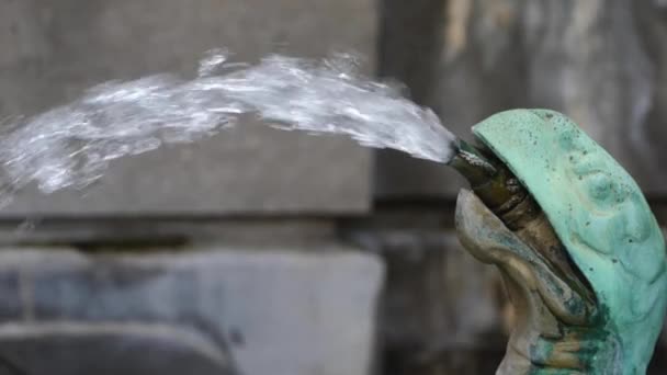 Wasserbrunnen Mit Schildkröten Der Innenstadt Von Brüssel Belgien Einem Bewölkten — Stockvideo