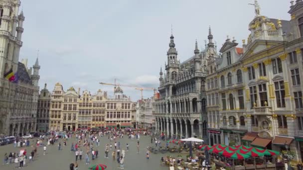 Blick Die Innenstadt Von Brüssel Belgien Einem Sommertag — Stockvideo