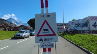 İsviçre 'de yazın sonunda inekleri dağlardan vadiye kadar kovalamak.