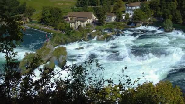 Flygfoto Över Rhen Falls Vattenfall Schweiz Solig Dag Sommaren — Stockvideo