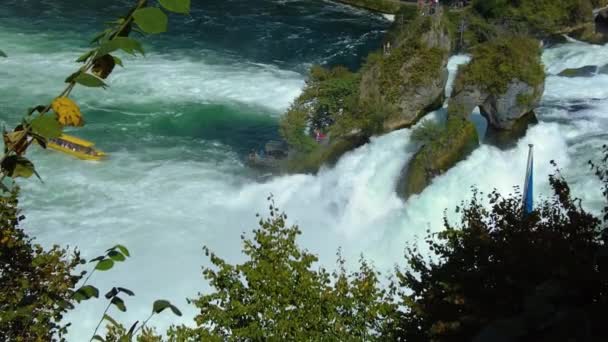 Letecký Pohled Rýnské Vodopády Vodopád Švýcarsku Slunečného Letního Dne — Stock video