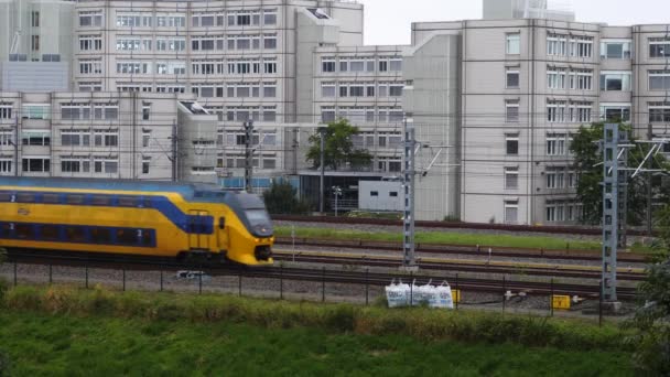 Repérage Des Trains Publics Amsterdam Fin Après Midi Été — Video