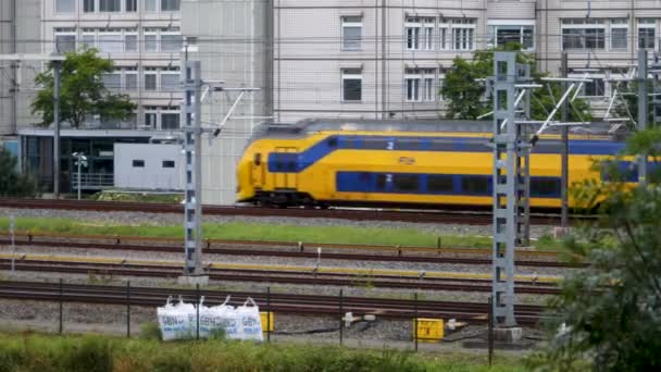 Veřejné Školení Amsterdamu Pozdním Odpoledni Létě — Stock video