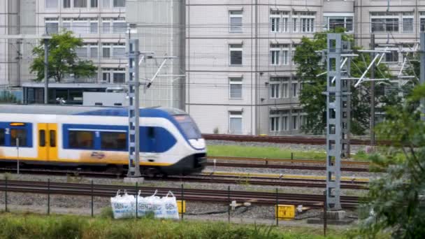 Veřejné Školení Amsterdamu Pozdním Odpoledni Létě — Stock video