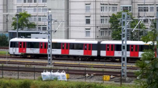 Veřejné Školení Amsterdamu Pozdním Odpoledni Létě — Stock video