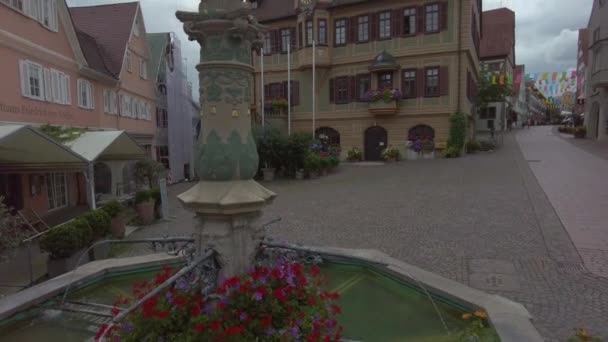 Yazın Bulutlu Bir Günde Eski Kasaba Bietigheim Bissingen Taklitleri — Stok video