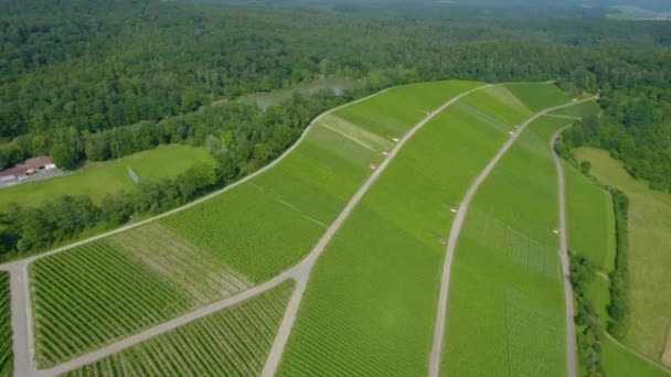 Vista Aérea Ciudad Distrito Sachsenheim Alemania Día Soleado Verano — Vídeos de Stock