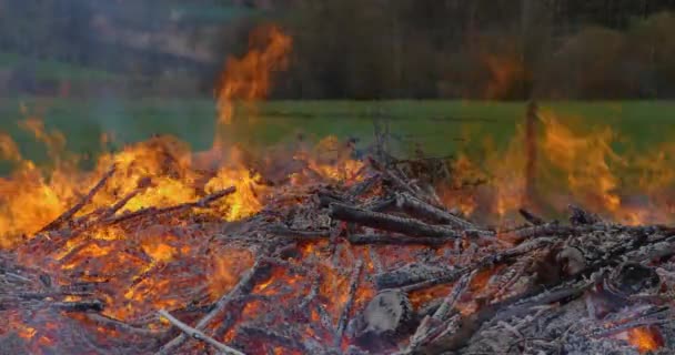 들판에서 모닥불을 — 비디오
