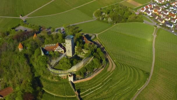 Vista Aérea Alrededor Del Pueblo Castillo Beilstein Alemania Día Soleado — Vídeo de stock