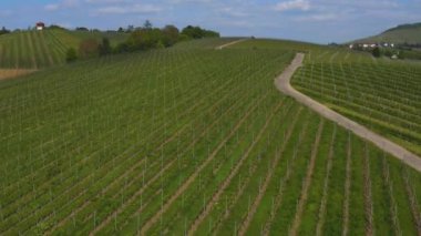 Yazın güneşli bir günde Almanya 'nın Stuttgart kentindeki hava manzarası