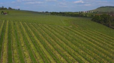 Yazın güneşli bir günde Almanya 'nın Stuttgart kentindeki hava manzarası