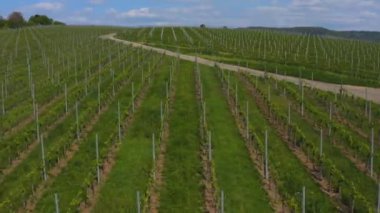 Yazın güneşli bir günde Almanya 'nın Stuttgart kentindeki hava manzarası