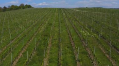 Yazın güneşli bir günde Almanya 'nın Stuttgart kentindeki hava manzarası