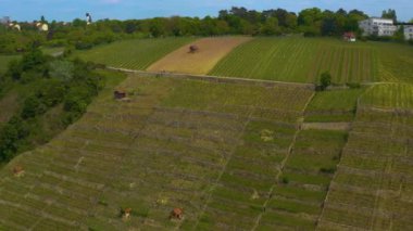 Yazın güneşli bir günde Almanya 'nın Stuttgart kentindeki hava manzarası