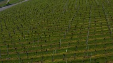 Yazın güneşli bir günde Almanya 'nın Stuttgart kentindeki hava manzarası