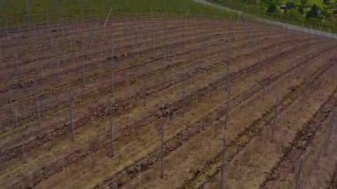 Yazın güneşli bir günde Almanya 'nın Stuttgart kentindeki hava manzarası