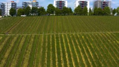 Yazın güneşli bir günde Almanya 'nın Stuttgart kentindeki hava manzarası