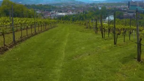 Vue Aérienne Autour Ville Stuttgart Allemagne Par Temps Ensoleillé Été — Video