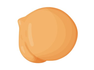 Nohut. Vejetaryen yemek çizimi. Çiftlik pazarı ürünü. 