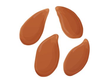 Keten tohumu. Beyaz sırtlı sağlıklı soyulmamış tohumlar. Vejetaryen yemeği..