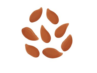 Keten tohumu. Beyaz sırtlı sağlıklı soyulmamış tohumlar. Vejetaryen yemeği..