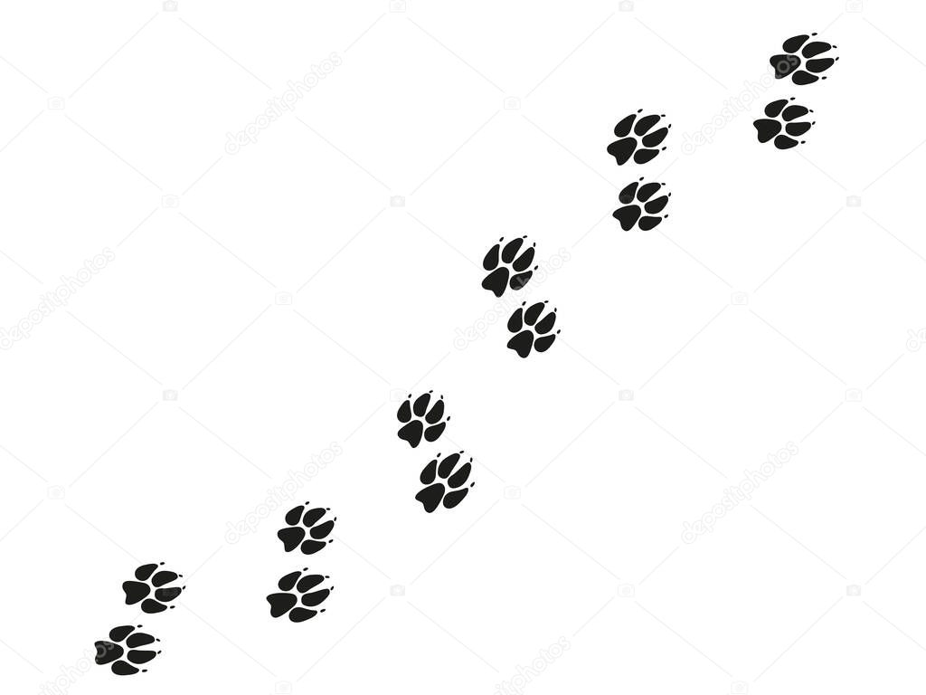 Fox feet tracks. Animals paws and sillhouetts.