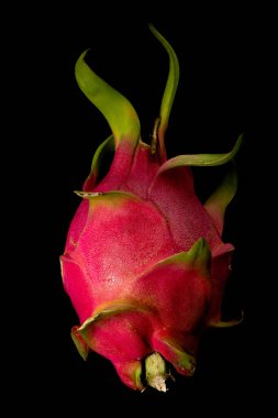 Taze ejderha meyvesi siyah arkaplanı yakınlaştır