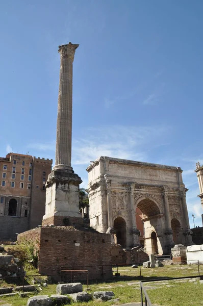 Coluna Focas Fórum Romano Roma Itália — Fotografia de Stock