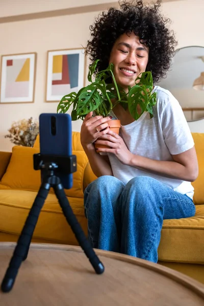 Afroamerikansk influencer spelar in vlog hemma. Hispanic kvinna live streaming visar anhängare en växt. Vertikal — Stockfoto