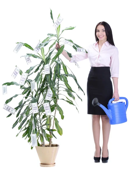 Affärskvinna och pengar — Stockfoto