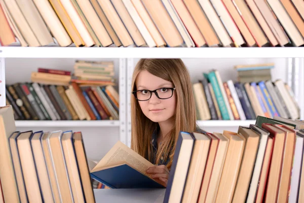 Biblioteca — Fotografia de Stock