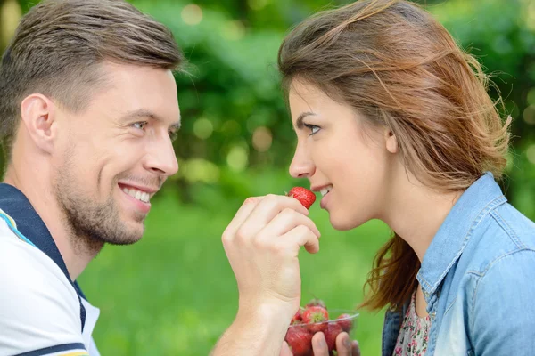 Picnic — Foto Stock