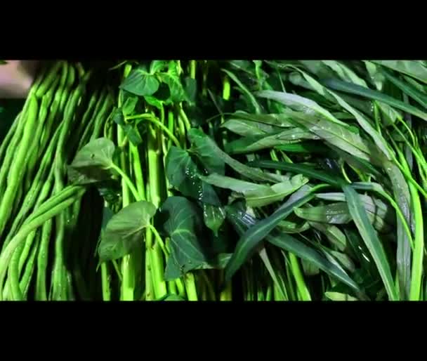 Fresh Green Salad Leaves Ingredients Market — Stock Video