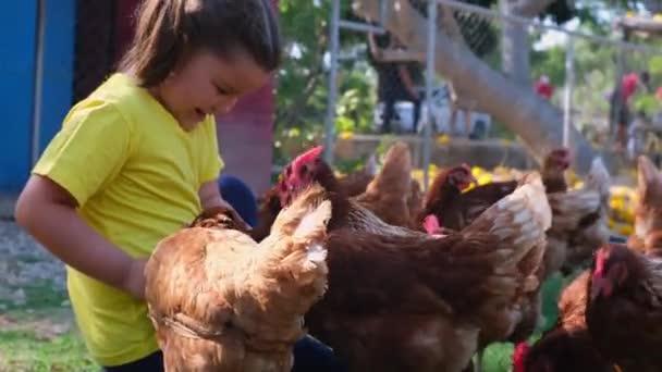 Ευτυχισμένο Παιδί Που Ταΐζει Κοτόπουλα Στο Αγρόκτημα — Αρχείο Βίντεο