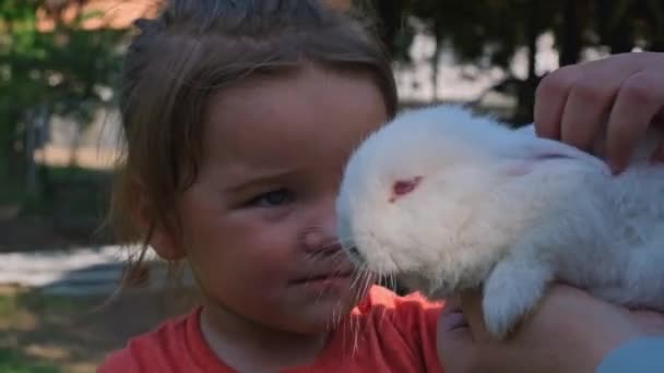 Niño Feliz Con Conejito Blanco Granja — Vídeos de Stock