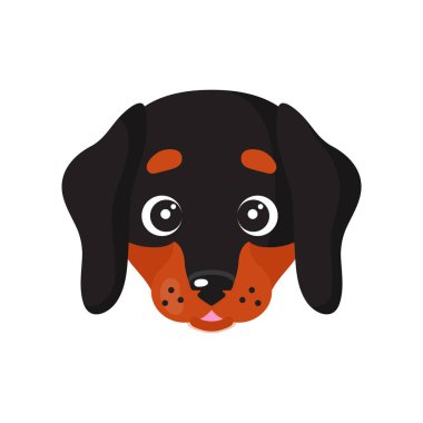 Dachshund cinsinin vektör köpek yüzü. Yavru köpek, evcil hayvan tasarım elementi.