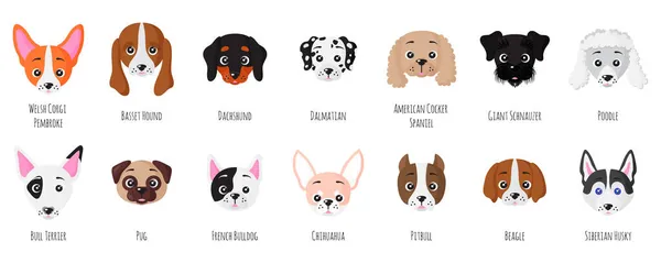 Farklı türlerden bir grup yavru köpek. Vektör karikatürü izole edildi.